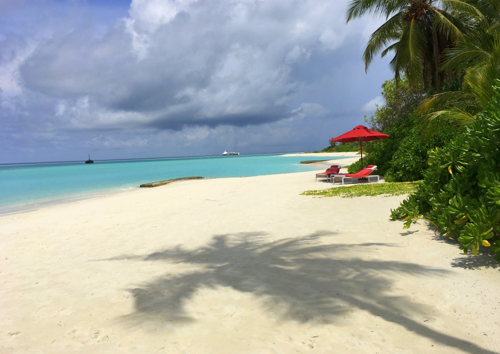 Bild von Niyama Private Islands Maldives